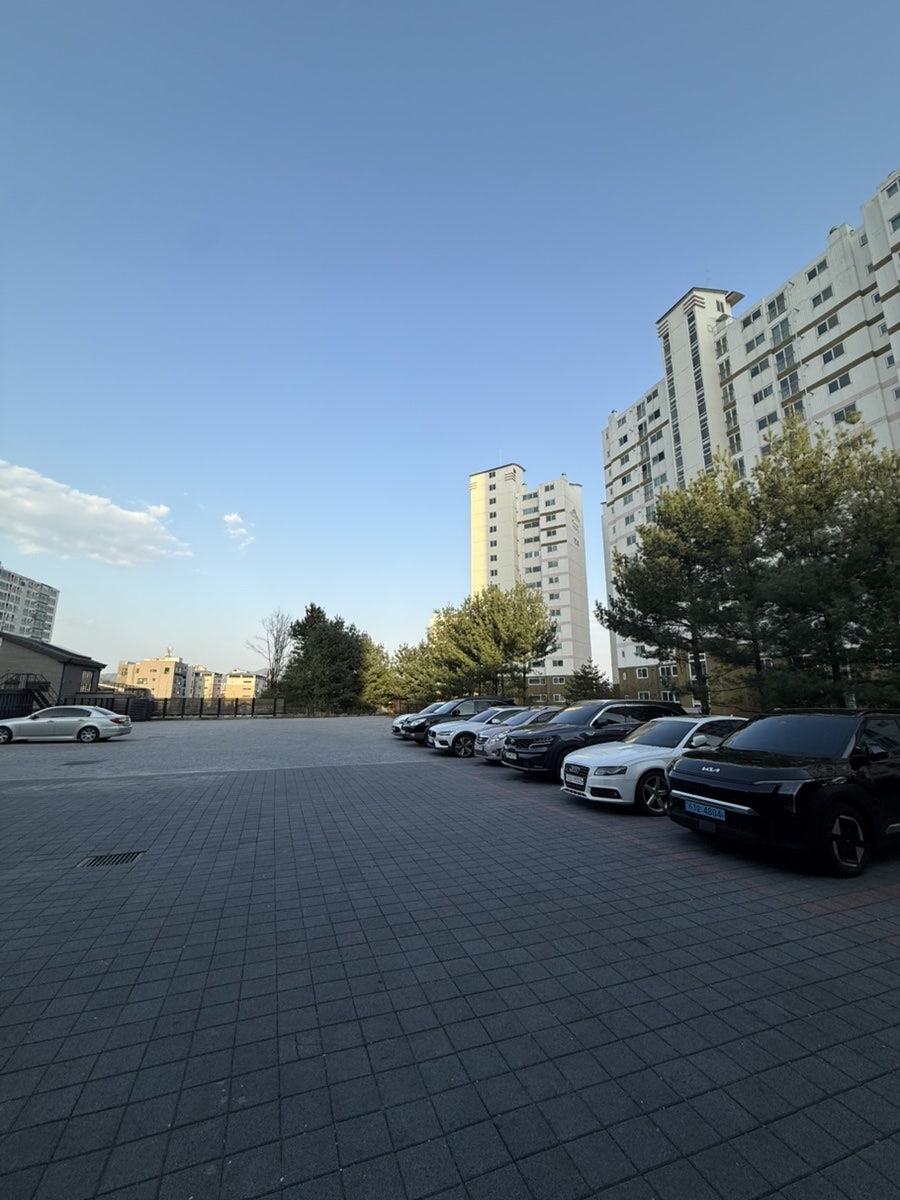 살롱1997 사진 3