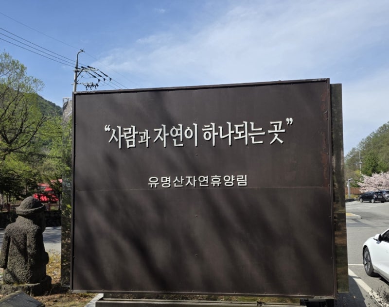 [자휴 90] 유명산 자연 휴양림의 신축 단독 숙소 오소리 (5인용)와 산책로에서 만난 봄의 소리....