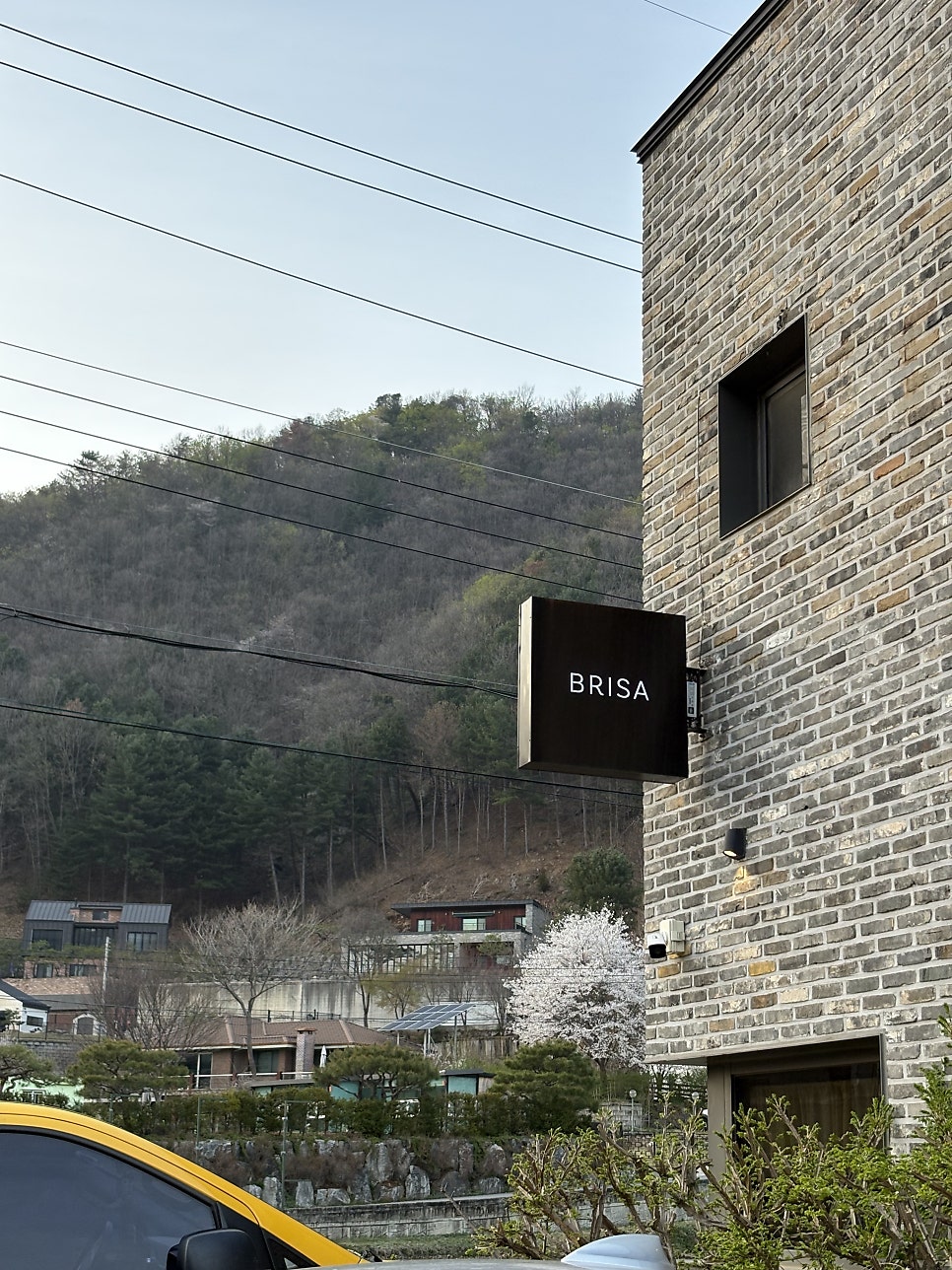 브리사 사진 1