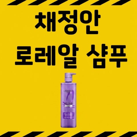 채정안 추천 로레알파리 히알루론산 두피앰플 샴푸. 채정안 샴푸, 모발관리 꿀팁
