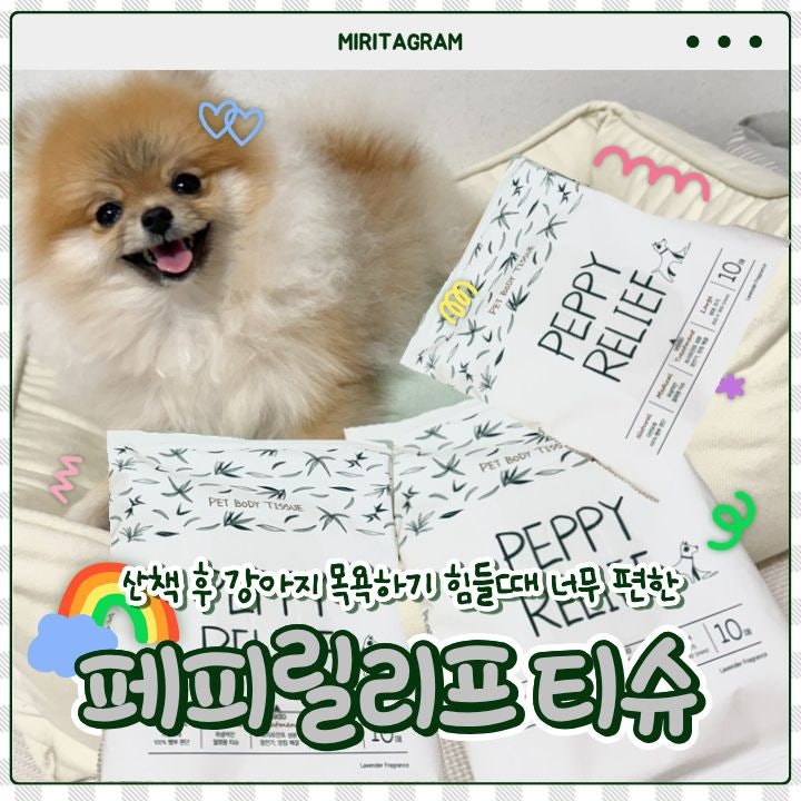 강아지바디티슈 추천 ‘페피릴리프’ 산책 후 목욕 싫어하는 댕댕이를 위한 해결템
