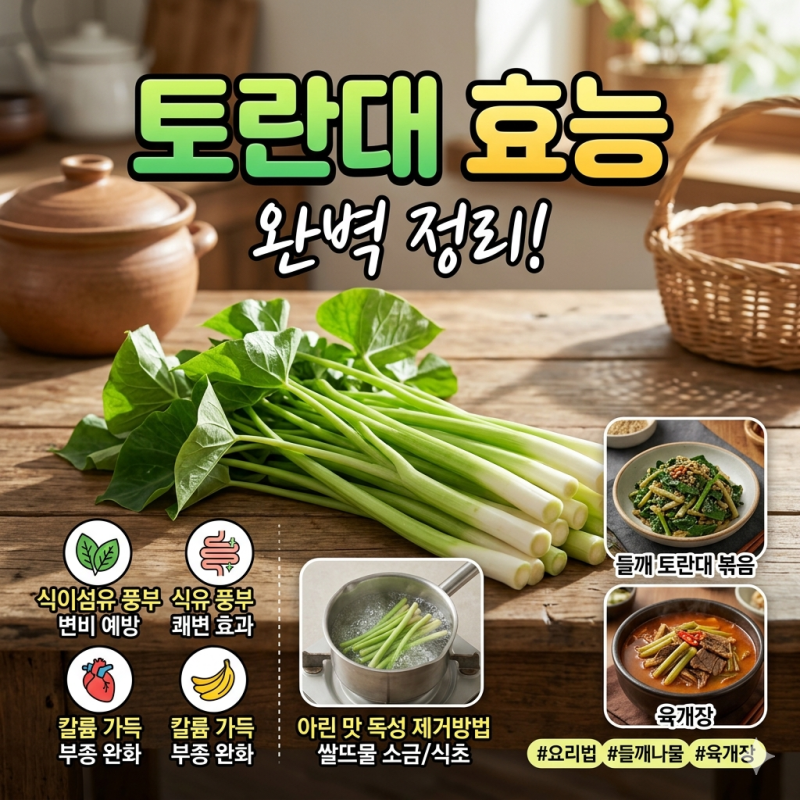 토란대 효능 알아보기: 아린 맛 독성 제거방법, 요리법, 주의할 점까지 총정리