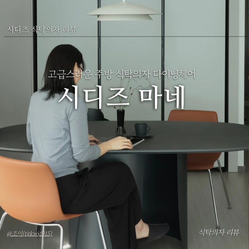 고급스러운 주방 식탁의자 다이닝체어 시디즈 마네 사용후기