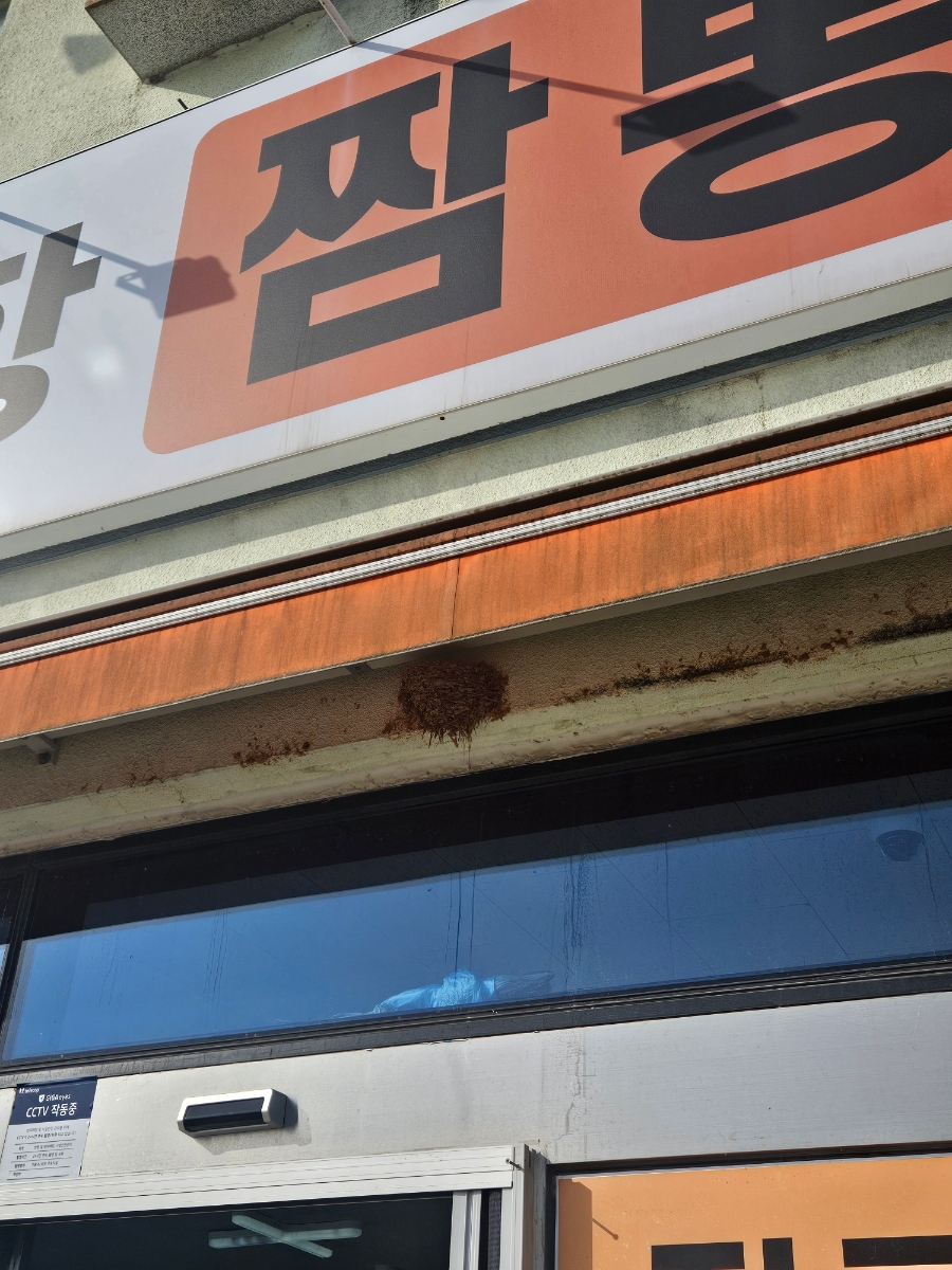 장고항짬뽕 사진 6