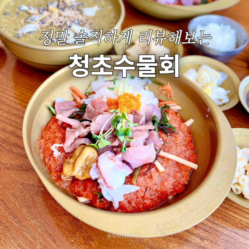 카시아 속초 근처 맛집 청초수물회 대기 시간 주차 맛 솔직 후기