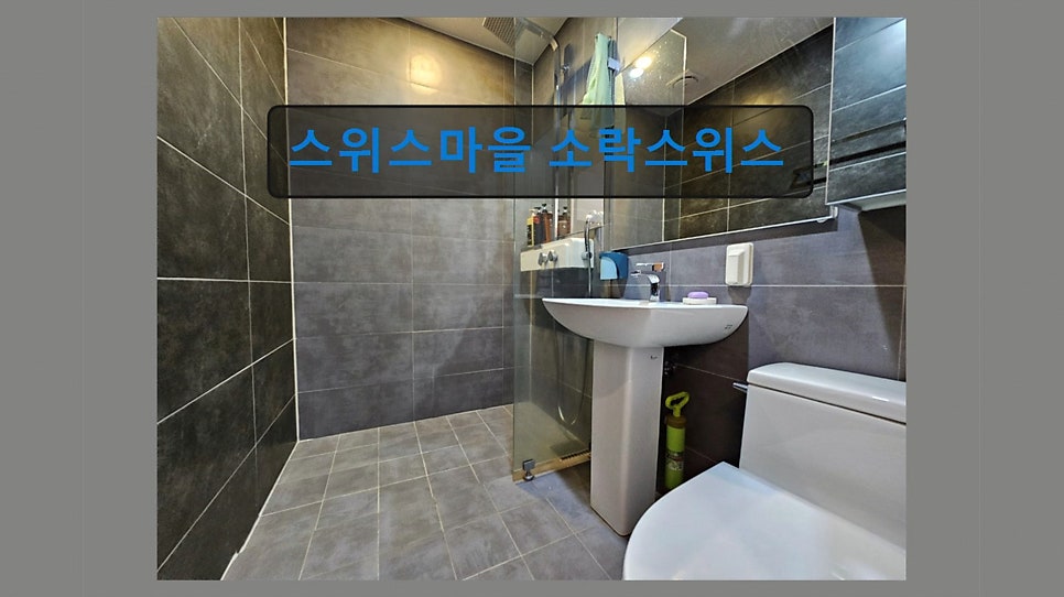 소락스위스 사진 6