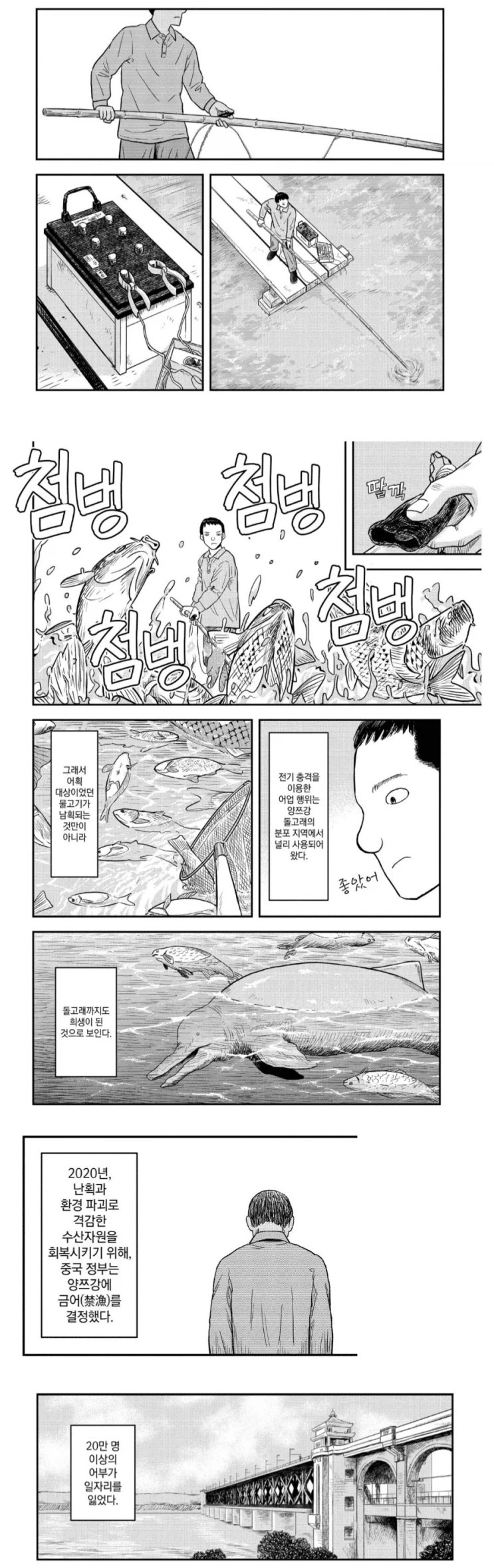  중국 어부 20만명 이상 직장을 잃어버린 이유.manhwa