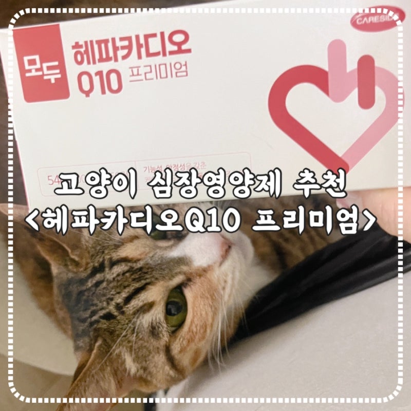 리뉴얼된 모두 헤파카디오 Q10 고양이 심장건강 지켜요