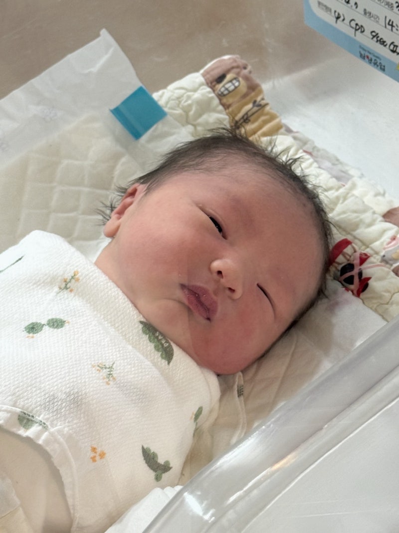 창원 로즈맘산부인과 제왕절개 1일차 2일차 : 출산 준비물, 통증, 회복, 입원실 후기