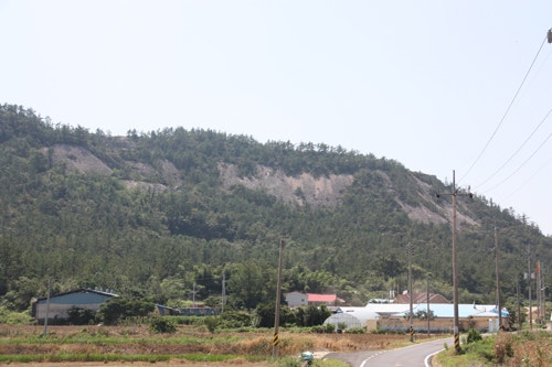 옥매산 사진 5