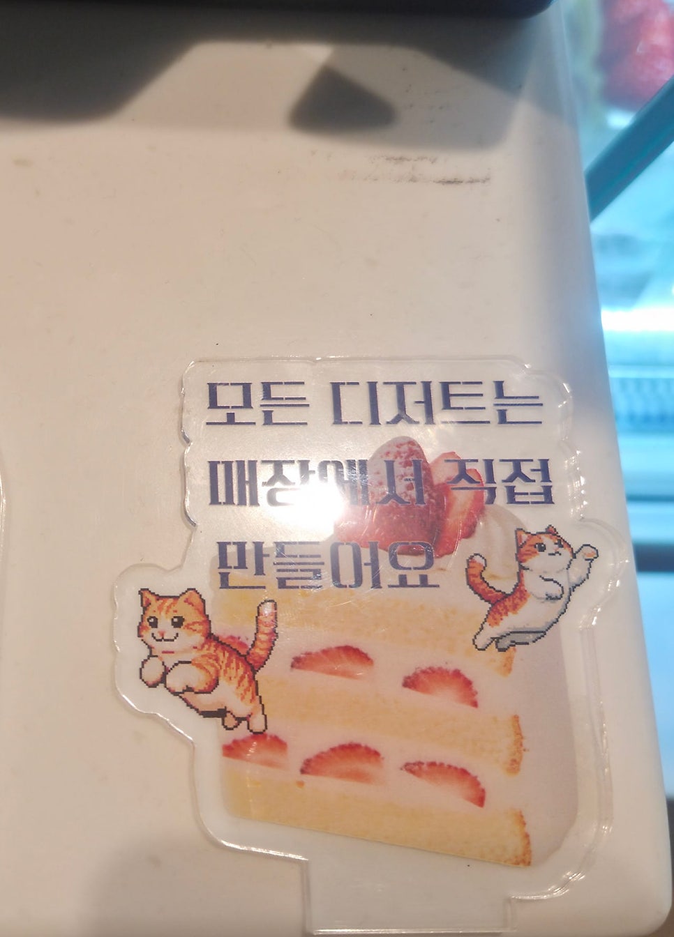 더블리 사진 5