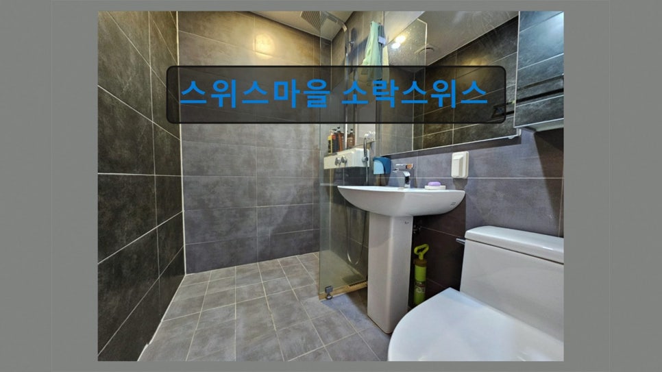 소락스위스 사진 1