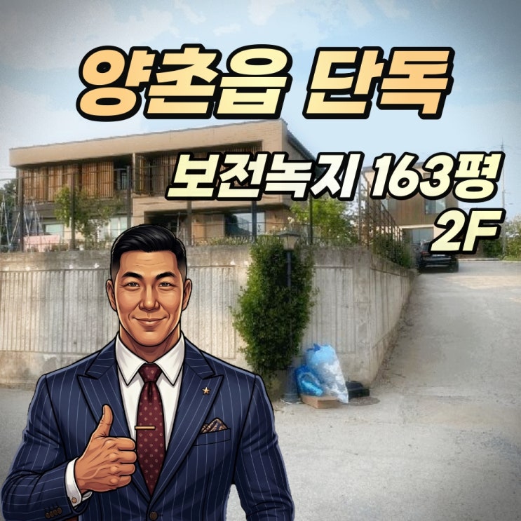  김포 양촌읍 단독주택 경매 국내 TOP 시공사 직영 건축  2025타경33545