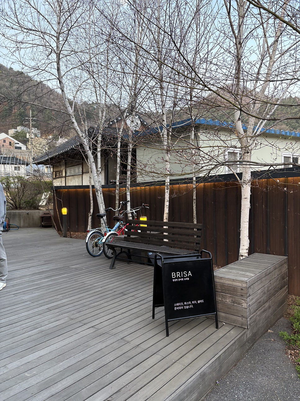 브리사 사진 3