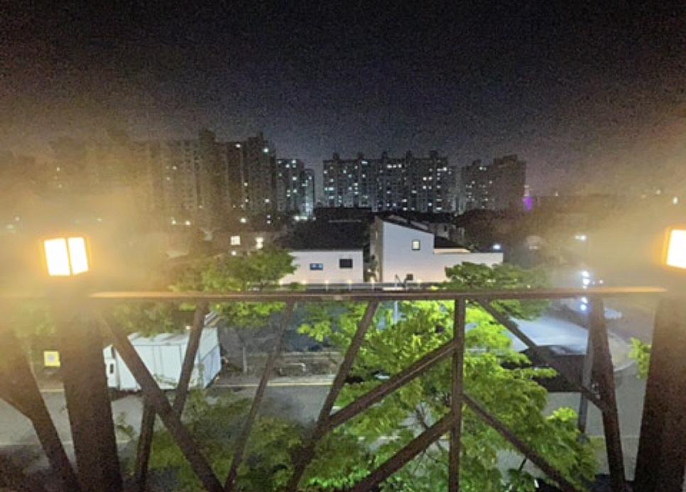 다모디 사진 6