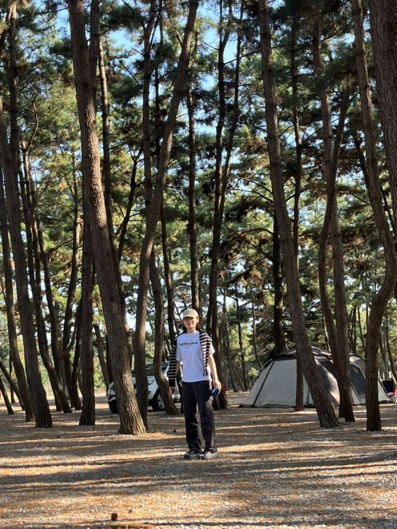 태안 해변 몽산포 해수욕장 몽산포 오션 캠핑장 캠핑 후기