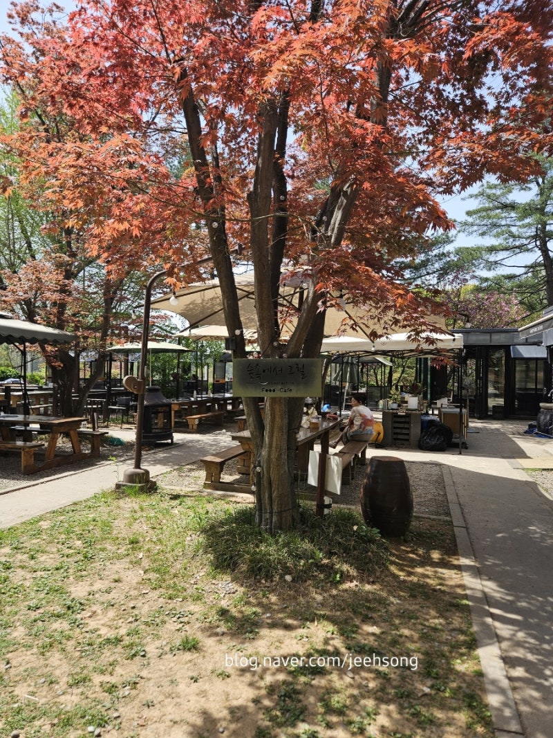 사진 6