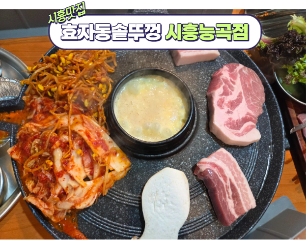 돼지한마리 사진 1