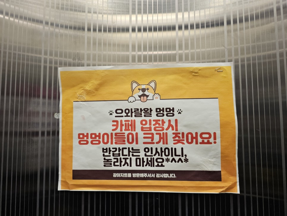 강아지트 사진 3