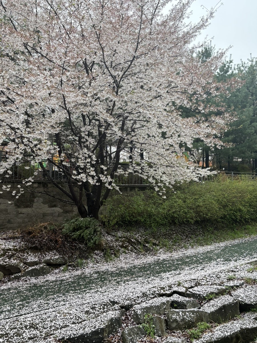 석촌가든 사진 1