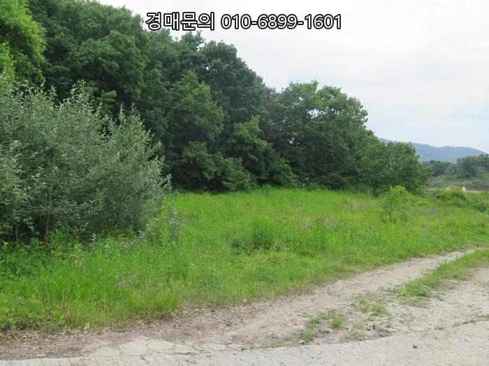  경기도 여주시 현암동 112 공장, 토지 경매! 압도적인 시세차익과 성공적인 투자 기회를 잡으세요! (2024-33936)