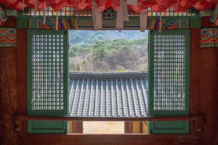  [강원, 초록의 고백]  춘천 청평사, 경운루 너머로 피어나는 봄의 프레임