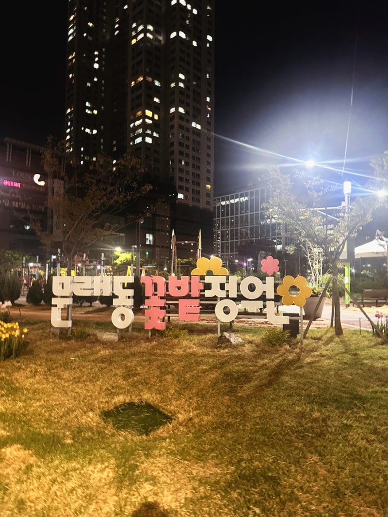 사진 5