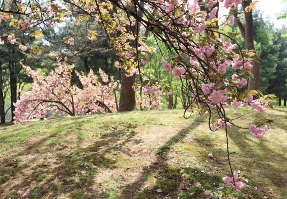평화의공원 난지연못 사진 1