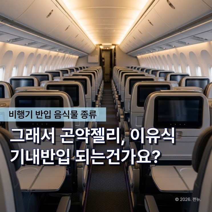  "비행기에서 내리는 순간 뺏겨요" 기내 음식 반입, 입국 기준은 따로 있습니다