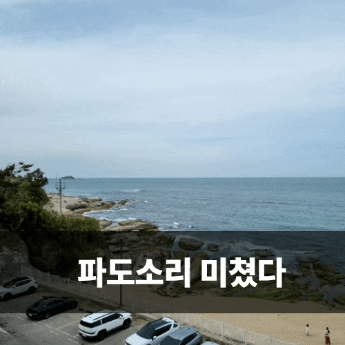  장사항펜션 속초오션뷰펜션 크루즈오션뷰펜션 숙박 후기