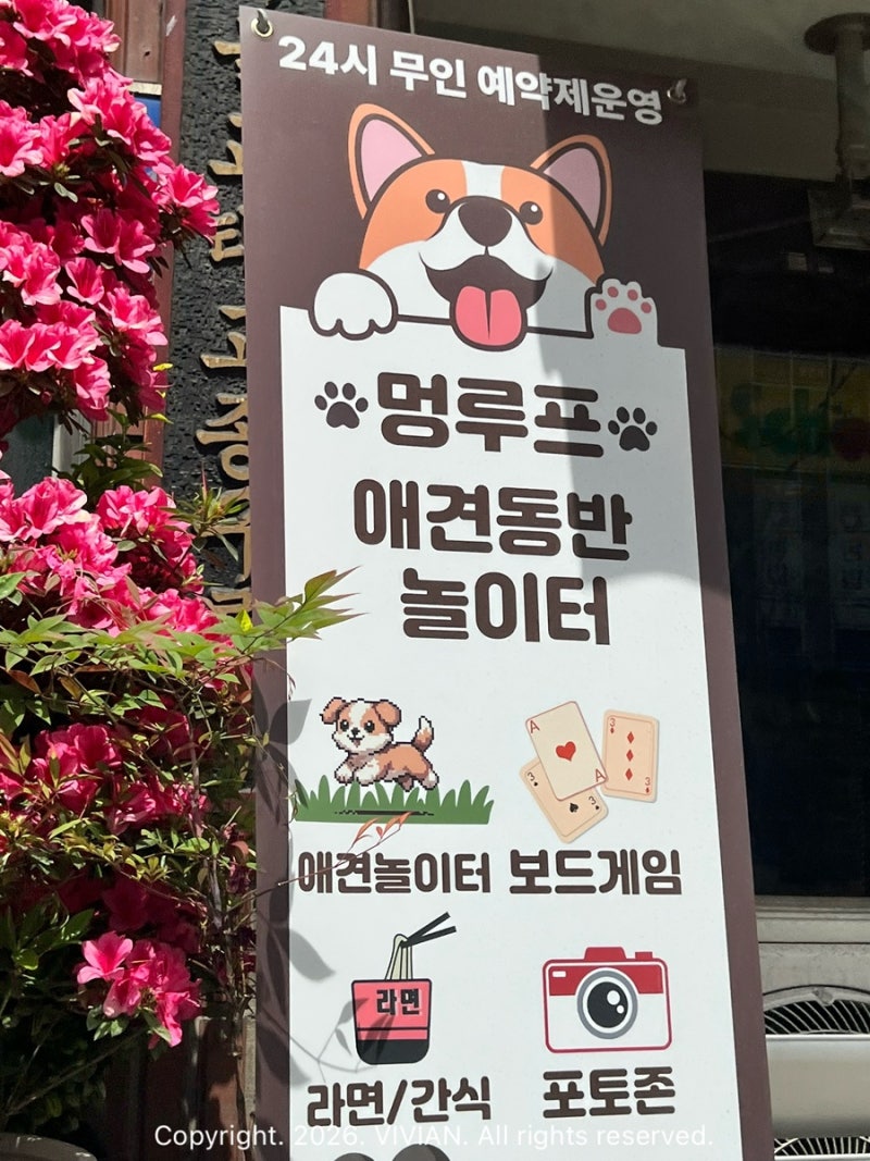 멍루프애견놀이터