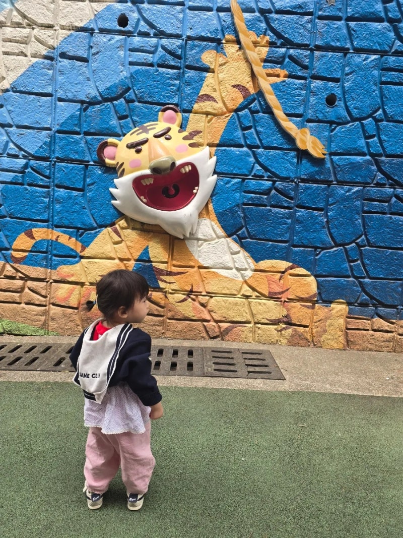 사진 6