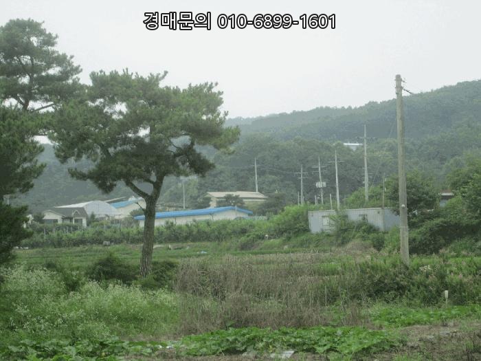  경기도 여주시 점동면 처리 588, 압도적 규모의 공장경매 부동산 투자! 유망 물건의 법정지상권 및 권리분석, 성공적인 낙찰 전략은? 2023타경2393
