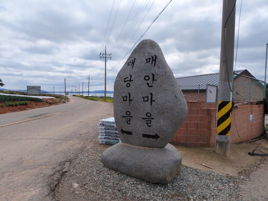 봉황산임도 사진 6