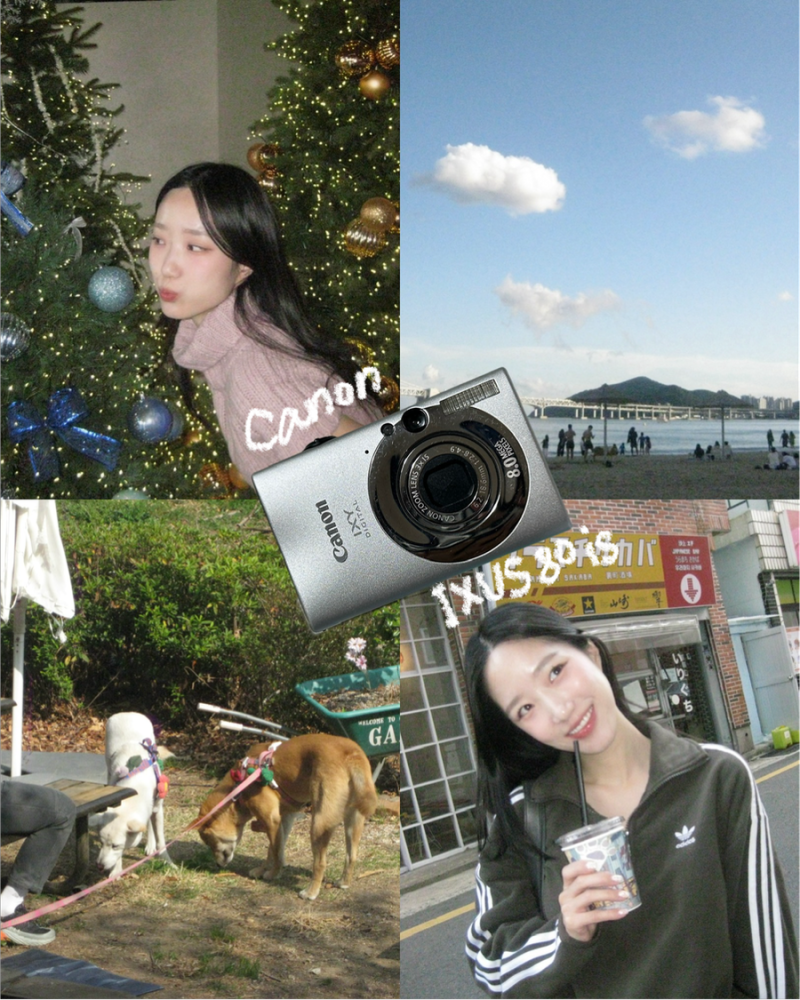 인물사진 잘나오는 빈티지디카 추천 캐논 익서스 80is 작례 2탄