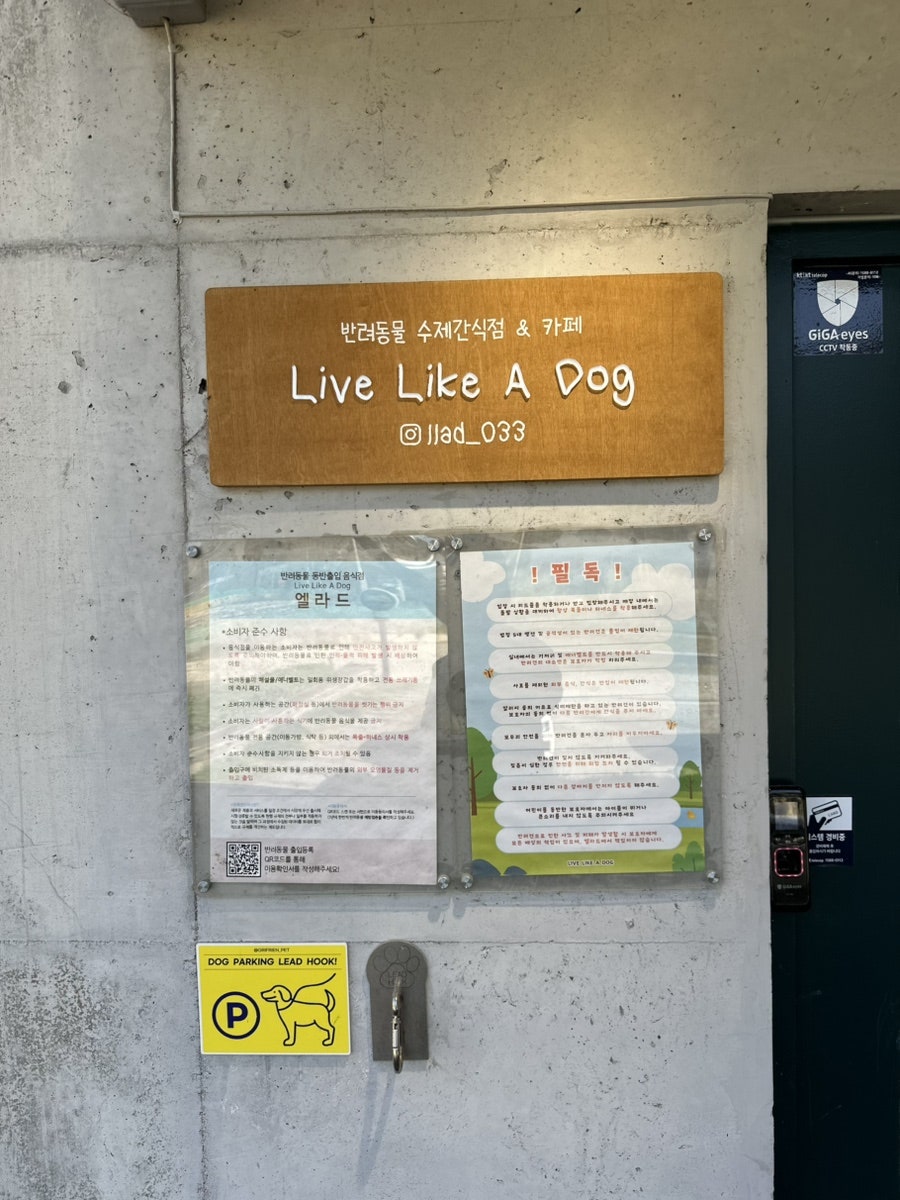 엘라드 사진 4