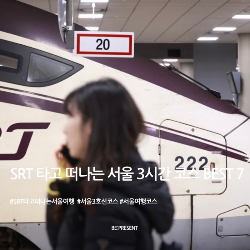 SRT 수서역 서울 3호선 3시간 코스 BEST 7 I 수서·양재·고터·압구정·광화문 로컬 여행 루트