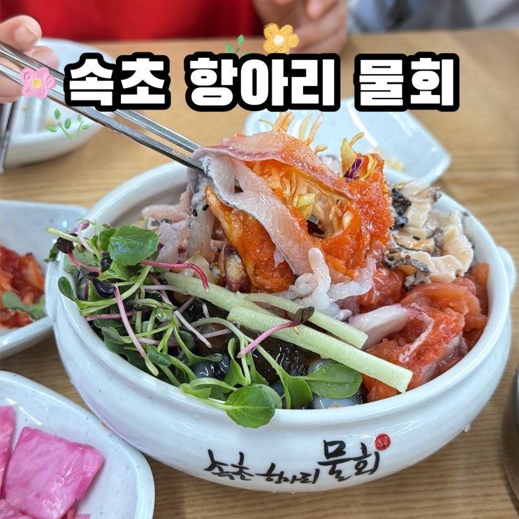  속초 맛집 추천 속초해수욕장 맛집 속초 항아리 물회
