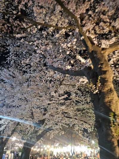 사진 6