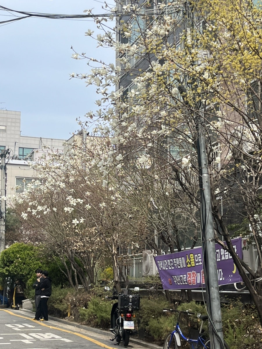 별미식당 사진 4