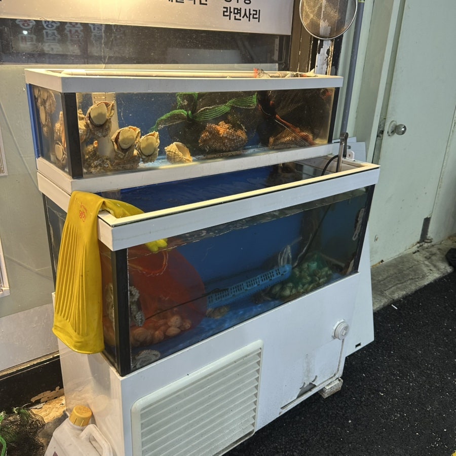 목포마차 사진 2