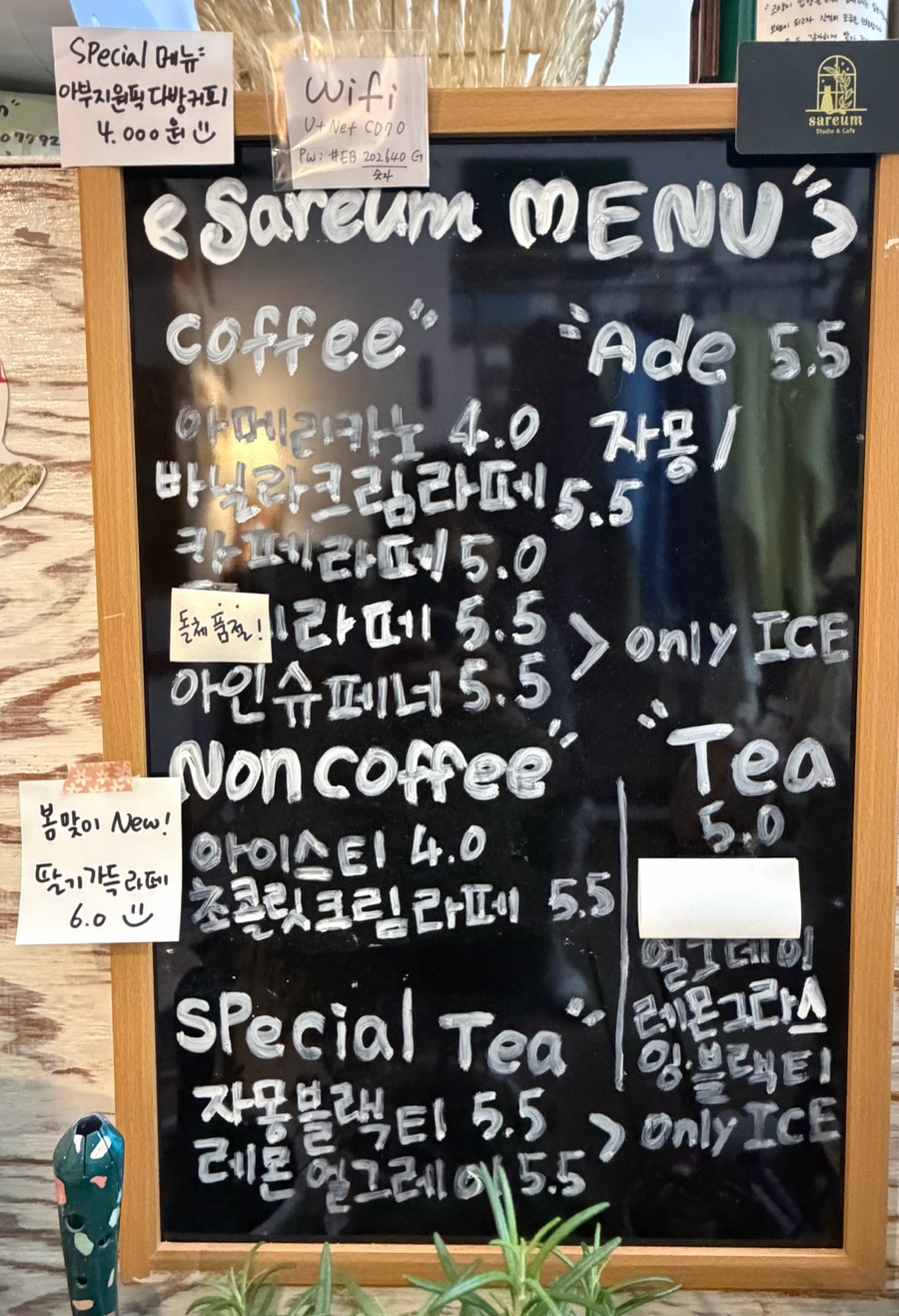 사름 사진 3