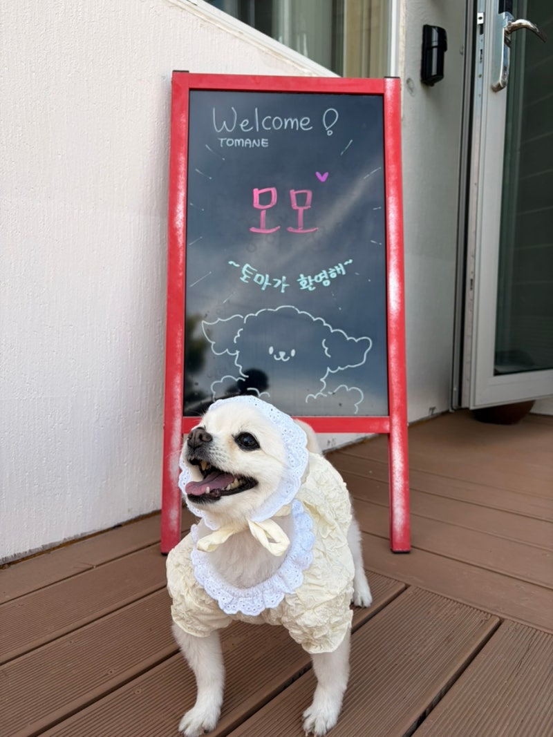 사진 8