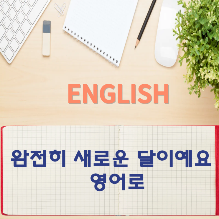  오늘의 영어회화 스터디  완전히 새로운 달이예요 영어로