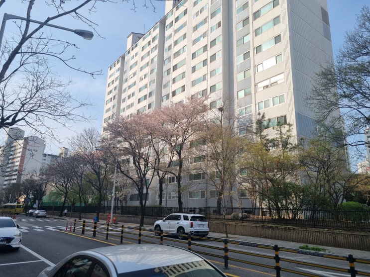  일산철학관 개명 마두 현대작명소 방문상담 후기