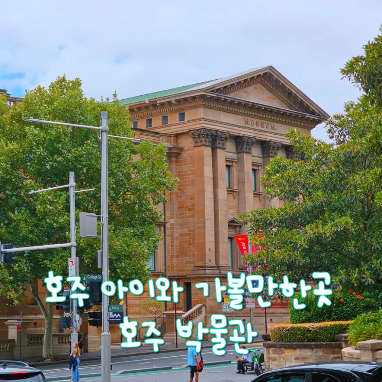  어린이 동반 호주 시드니 여행 아이와 가볼만한곳 호주박물관