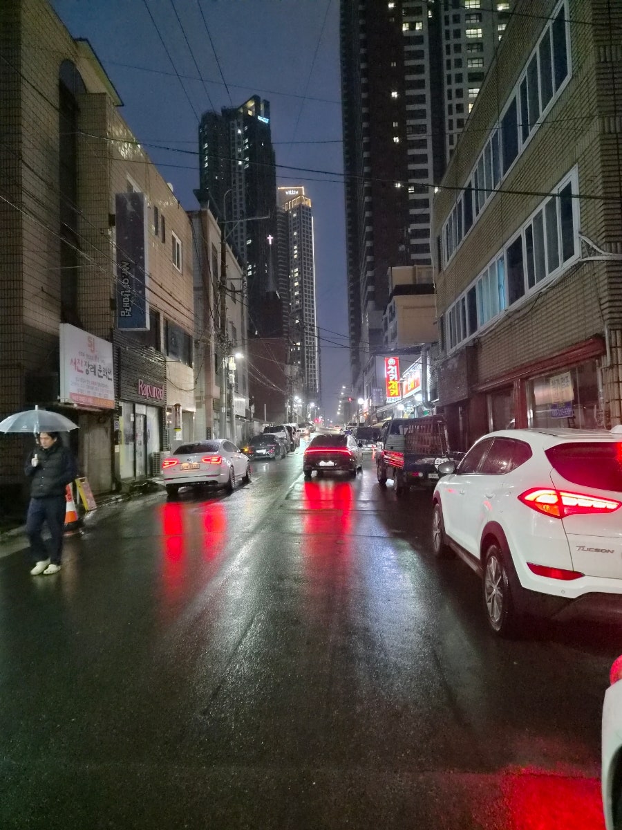 닭닭닭 사진 4