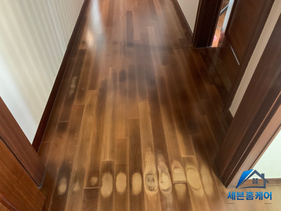[판교 마루 복원] 물먹고 변색된 강화마루, 시트지 시공으로 새것처럼 되살리기