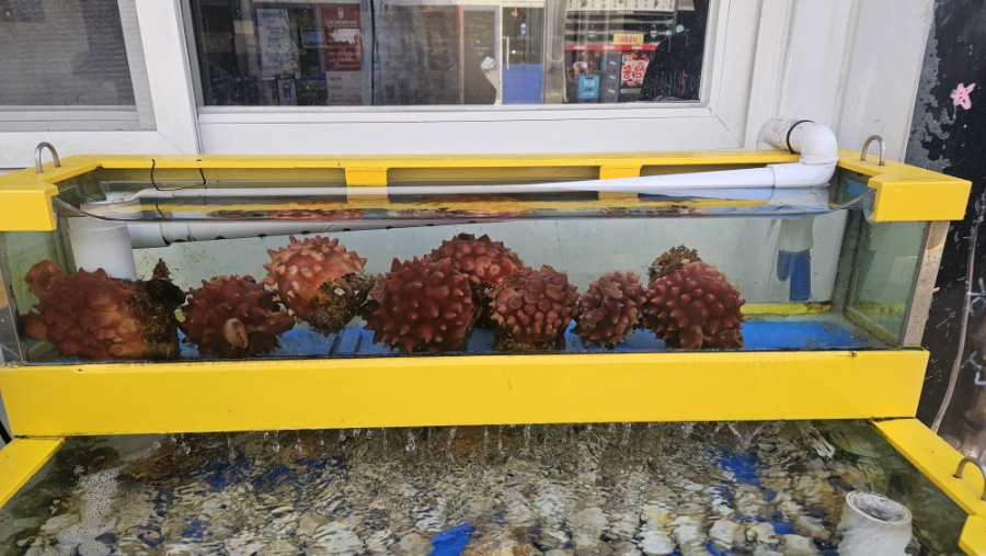 삼송식객 사진 2