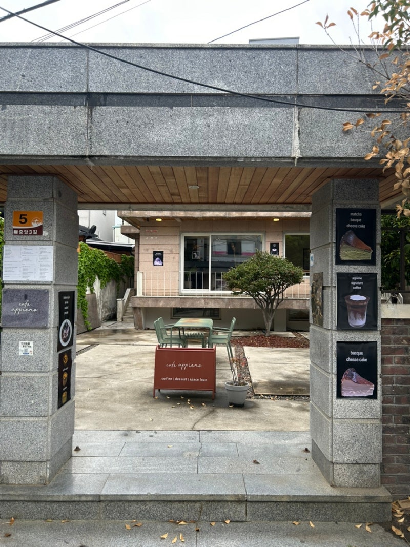 사진 5